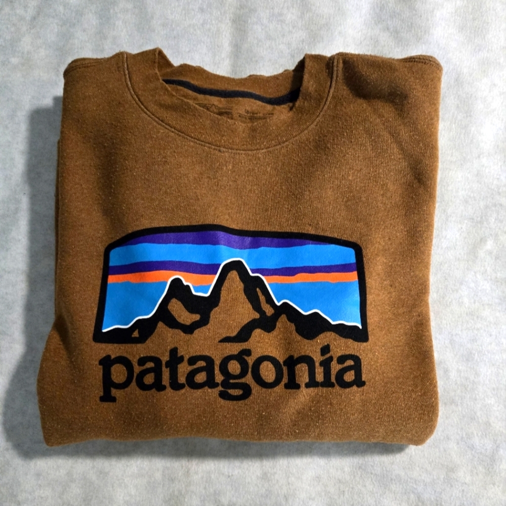 Men's Patagonia crewneck sweatshirt